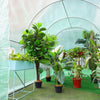 2M H Walk-in Greenhouse Garden Polytunnel Grow Tunnel Flower Vegetable Allotment