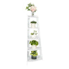 5 Tier Wood Corner Shelf Stand Wood Display Storage Rack Home Furniture White