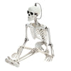 Full Life Size Human Hanging/Sitting Skeleton Prop Halloween Party Decoration