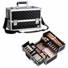 Extra Large Vanity Train Case Beauty Box Make up Jewelry Cosmetic Storage Box