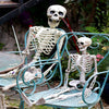 Halloween Skeleton Father & Son Human Full Size Prop Haunted House Anatomy Decor
