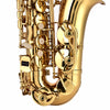 10.7Eb E-flat Alto Saxophone with Storage Case Mouthpiece Accessories Gold NEW