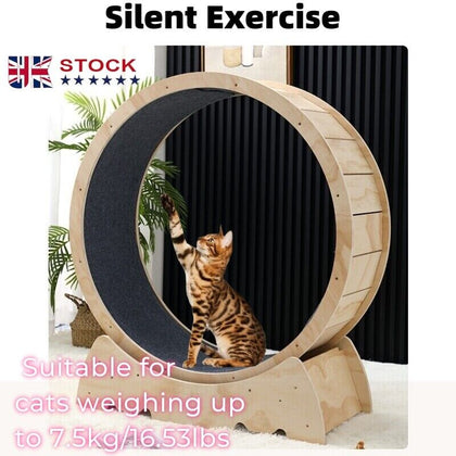 Cat Exercise Wheel Treadmill Cat Running Wheel Climbing Scratching Indoor Silent