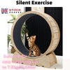 Cat Exercise Wheel Treadmill Cat Running Wheel Climbing Scratching Indoor Silent