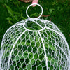 5X Metal Cloche Garden Plant Protective Wire Cover Proof Poultry Sturdy 30*30CM