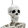 Full Life Size 170cm Halloween Human Skeleton Bones Posable Skull Hanging Party
