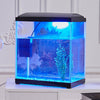 22L Glass Aquarium Fish Tank LED Lighting Starter Kit Set Pump Net Plant Stones