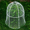 5X Metal Cloche Garden Plant Protective Wire Cover Proof Poultry Sturdy 30*30CM