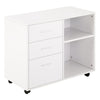 Freestanding Storage Cabinet w, 3 Drawers 2 Shelves 4 Wheels Office Home