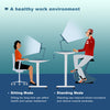 Flamaker 140x70 cm Electric Standing Desk Height Adjustable Computer Desk