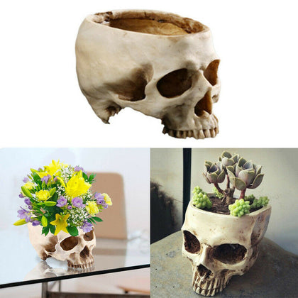 Fancy Realistic Human Skull Greenery Pot Flower Vase Candy Bowl Home Bar Decor