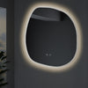 Anti-Fog Bathroom LED Mirror Makeup Mirror Mounted Wall With Touch Sensor Lights