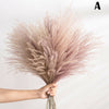 10/30PCS Natural Dried Pampas Grass Reed Flower Bunch Bouquet Wedding Home Decor
