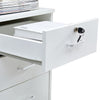 Office Home Filing Cabinet Cupboard on Castors Tools Storage Under / Beside Desk
