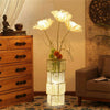 Modern Illumination Floor Lamp w/ Shelves LED Hanging Lamp Shade Corner Standing