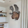 Moose Head Wall Mounted Decoration Natural Looking