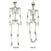 Skull Human Skeleton Prop Horror Full Size Body Anatomy Model Party Scary Decor