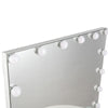 Large Hollywood Makeup Mirror Dressing Table Vanity Mirror Dimmable 14 LED Light