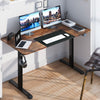 Electric Standing Desk Height Adjustable Sit to Stand Desk with Headphone Hook