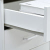 Office Filing Cabinet Mobile Under Desk File Storage Cupboard w/ Drawers Wheels