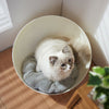 Round Soft Elevated Dog Cat Sofa Bed Couch Pet Bed Wood Base W/ Removed Cushion