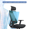 Office Chair High Back Mesh Ergonomic Chairs Lumbar Support Office for Home Work