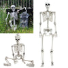 Large Poseable Halloween Human Life Size Skeleton Haunted House Party Scary Prop