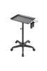 Hair Salon Trolley Cart Tray Hair Coloring Beauty Station Grooming 2 Tool Holder