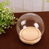 Small/Large Round Glass Ornament Display Dome Cloche Bell Jar with Wooden Base