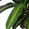 4ft Tropical Artificial Palm Tree Large Plants Fake Bamboo Leafs Garden Decor