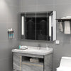 Wood Bathroom Cabinet LED Mirror Touch Switch Staorage Wall Mounted 2 Door