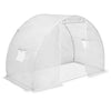 Reinforced Steel Walk-in Polytunnel Greenhouse with Door and Windows (6 Sizes)