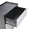 Metal Filing Cabinet Storage Organize Lockable HomeOffice Mobile 2-Door Cupboard