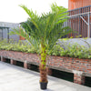 Artificial Palm Tree Potted Green Plant Exotic Tropical Decor Living Room Garden
