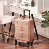 Nail Artist Travel Trolley Vanity Beauty Case Trolley Hairdressing Cosmetics Box