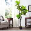 LARGE 150CM Artificial Realistic Ficus Rubber Tree Green Topiary Plants Faux UK