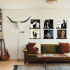 6PCS Carbon Steel Record Shelf Stand Wall Mounted Record Holder CD Album Display