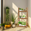 3 Tier Wooden Plant Stand Folding Flower Shelf Display Ladder Free Standing