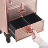 Large Vanity Makeup Beauty Trolley Moblie Hairdressing Nail Storage Case Drawers