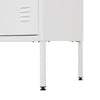 Metal Cabinet 2 Doors Storage Cupboard Console TV Stand File Box for Living Room