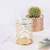 Cosmetics Makeup Storage Brushes Box Pencil Pen Pot Desk Holder Organizer Case