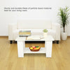 2 Tier Coffee Table End Side Table Modern Design Storage Shelf Living Room White