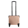 Artist Cosmetic Vanity Case Makeup Trolley Mobile Beauty Hairdressing StorageBox