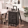 Large Beauty Makeup Hairdressing Cosmetic Storage Case Box Trolley Vanity Drawer