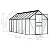 Greenhouse Anthracite Aluminium 8.17 m² X8V0