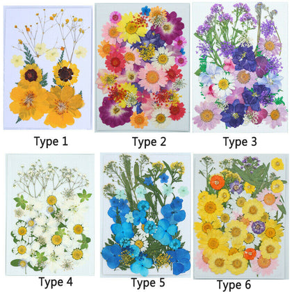 DIY for Resin Jewelry Making Decors Real Dried Press Flowers Candle Making Craft