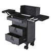 Large Makeup Trolley Case Mobile Beauty Vanity Hairdressing Case W/ Drawer Black
