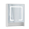 Bathroom Cabinet Mirror LED Storage 1 Door 2 Shelf Towel Hanger Wall-mounted