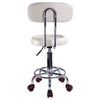 White Spa Salon Stool Gas Lift Backrest Barber Beauty Massage Hairdressing Chair