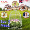 5X Metal Cloche Garden Plant Protective Wire Cover Proof Poultry Sturdy 30*30CM